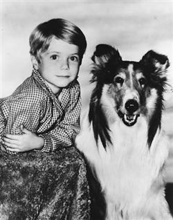 An early photo of Jon Provost as 