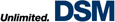 DSM Logo