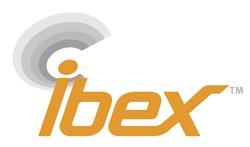 E.I. Medical Imaging Ibex Logo